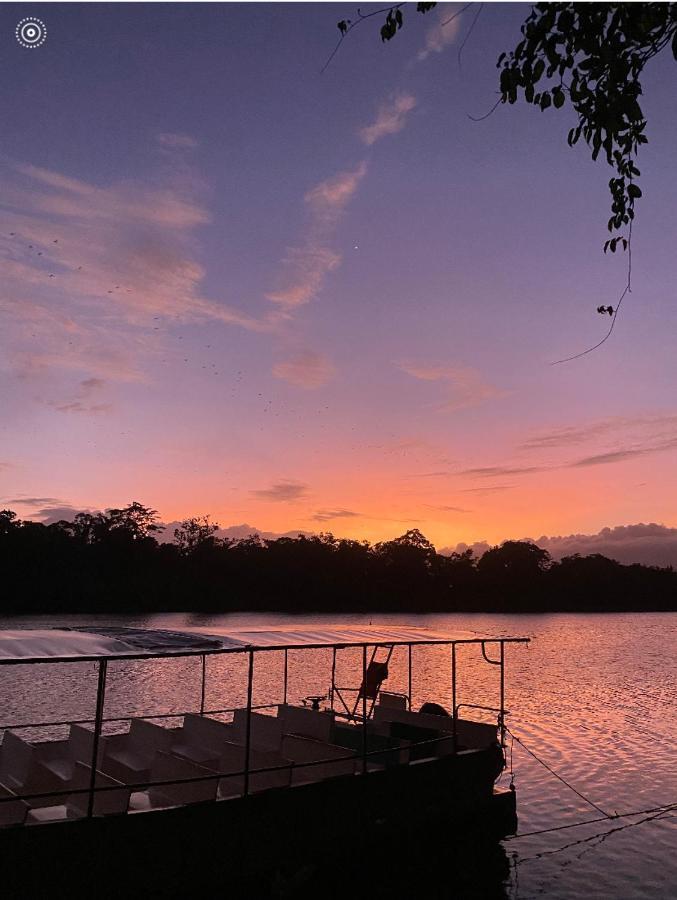 Villa Egrets Rest Daintree Exterior foto